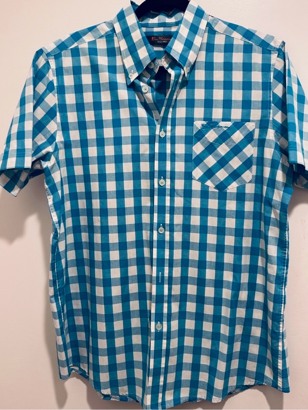 Ben Sherman Teal and White Gingham Short-Sleeve Button-Down Shirt